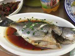 -长兴岛郊野公园农场食堂