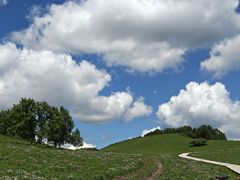 -御道口草原森林风景区