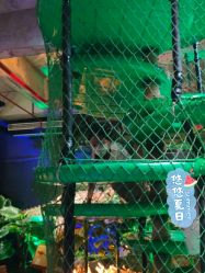 -恐龙探索乐园(磁器口店)