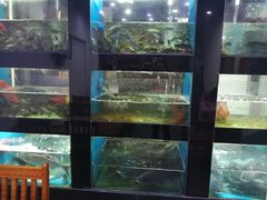 -全乐鱼馆·淳牌有机鱼直营店