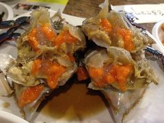 -普乐酱蟹(coex店)