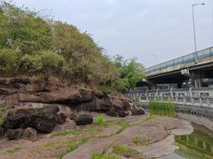 -广州七星岗古海岸遗址科学公园