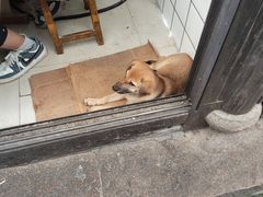 -南翔饭店
