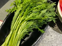 -麻路成都火锅(柏威年店)