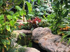 -北京植物园-展览温室