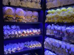 -史努比缤纷世界