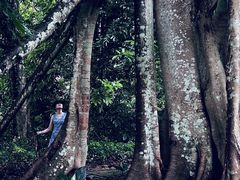 -中国科学院西双版纳热带植物园
