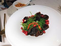 陈醋西沙红海蜇-闻见中国海南菜(K11店)