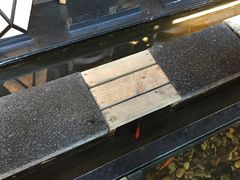 -颐和•海鲜砂锅粥•啫啫煲(奥林匹克广场店)