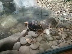 -凯莉-塔尔敦海洋生物水族馆