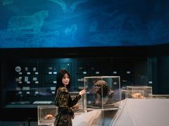 -北京周口店北京人遗址博物馆