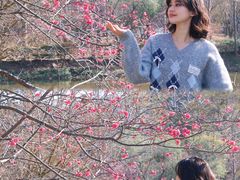-田野绿世界
