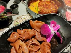 -园里火锅(仁和新城店)