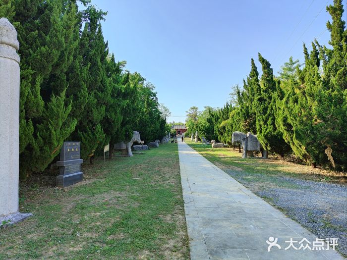 汤和墓古迹园图片