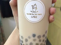 -小杨苔