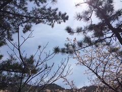 -崂山巨峰游览区