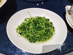 清炒鸡毛菜-徐记海鲜(大明宫|北二环店)
