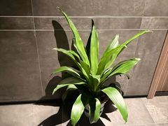-天禧影院式足道·SPA(梅林店)