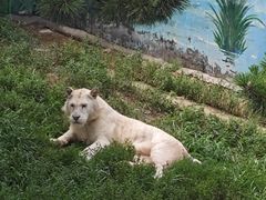 -西霞口神雕山野生动物世界