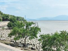 -深圳湾公园(南山区)