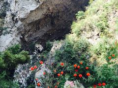 iphone_upload_pic-百魔洞景区