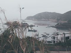 -枸杞岛