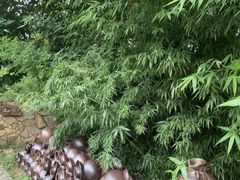 -远山有窑
