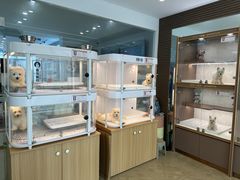 -翊宠yipet猫狗购宠庄园犬舍•猫舍