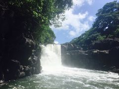 -塞尔夫岛