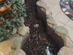 -台山第一家兴华黄鳝饭·黄鳝婆(合水分店)