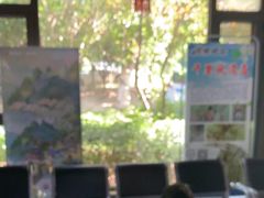 -黄陂区野村谷景区