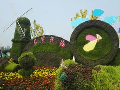 -荷兰花海