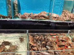 -许家菜.艺创菜(仁和新城店)