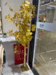 -梵创造型