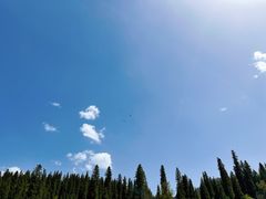 -新疆那拉提国家旅游度假区
