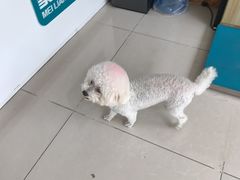 -美联众合24小时·皮肤科·外科·全科诊疗中心(华苑分院)