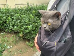 -悦宠凯宝动物医院·牙科·皮肤科(朝阳北路店)