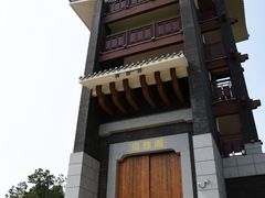 -王借岗森林公园