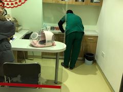 -艾贝尔宠物医院·24H转诊中心·肿瘤猫专科(江宁双龙店)