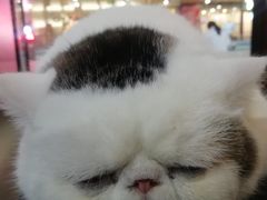 -康慈健身(雅戈尔雷迪森广场店)