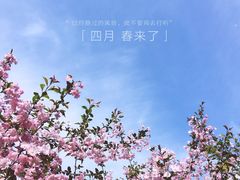-荆川公园