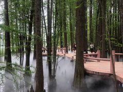 -东湖落雁景区