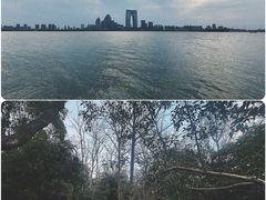 -金鸡湖桃花岛