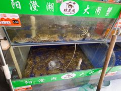 -阳澄湖大闸蟹·琼灵阁牌品牌连锁(吴中总店)