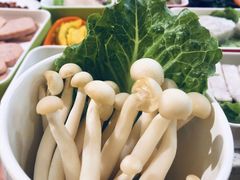 -卤教授老火锅