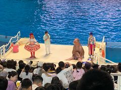 -泉城欧乐堡海洋极地世界