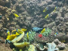 -海合安青岛极地海洋公园