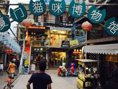 -猫咪博物馆(顶澳仔猫街店)