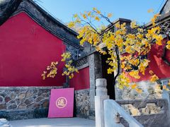 -潭柘寺景区