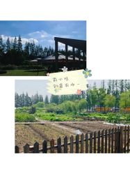 -前小桔亲子创意农场·草莓采摘·露营烧烤